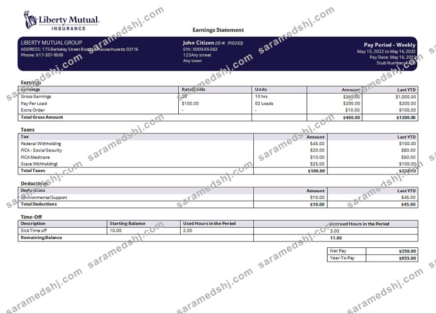 USA insurance company earning statement template in Word and PDF format, version 2